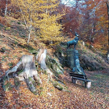 Haus Anastasia Stolberg i. Harz Buitenkant foto