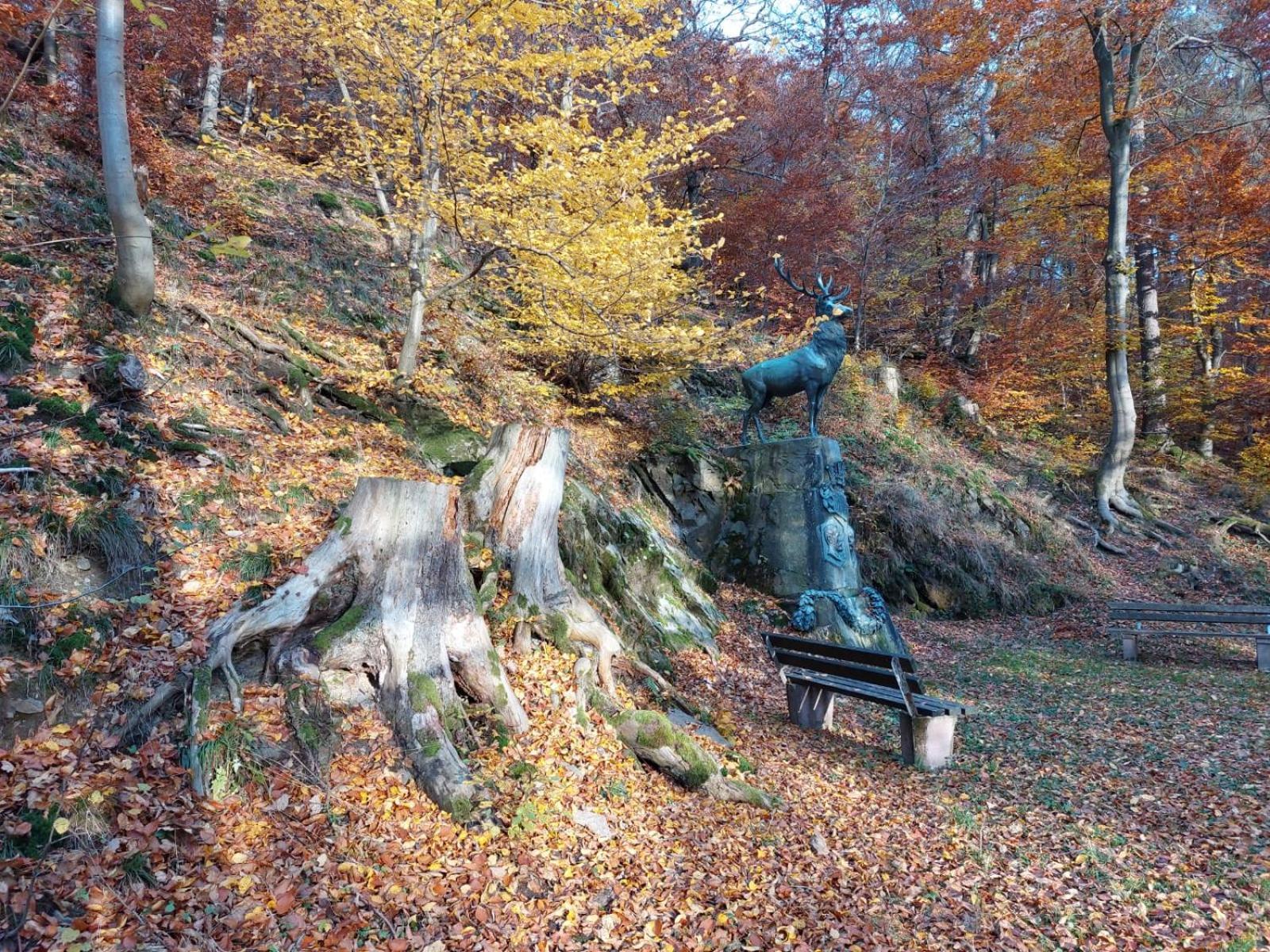 Haus Anastasia Appartement Stolberg i. Harz Buitenkant foto